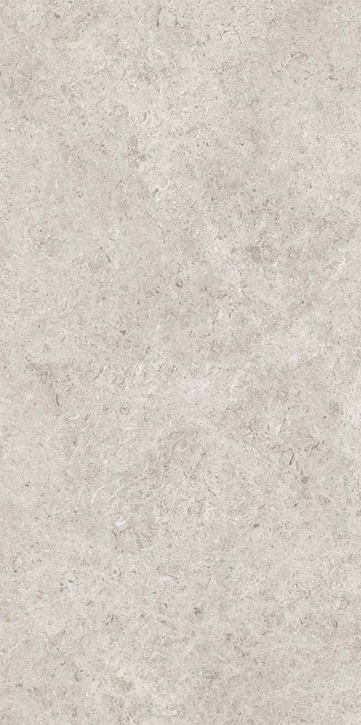 КЕРАМОГРАНИТ SEASHELL NATURAL СЕРЫЙ R10 CARVING 60x120