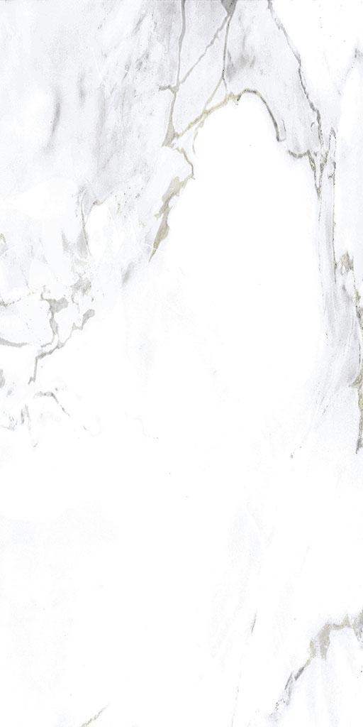 Monster White 60*120